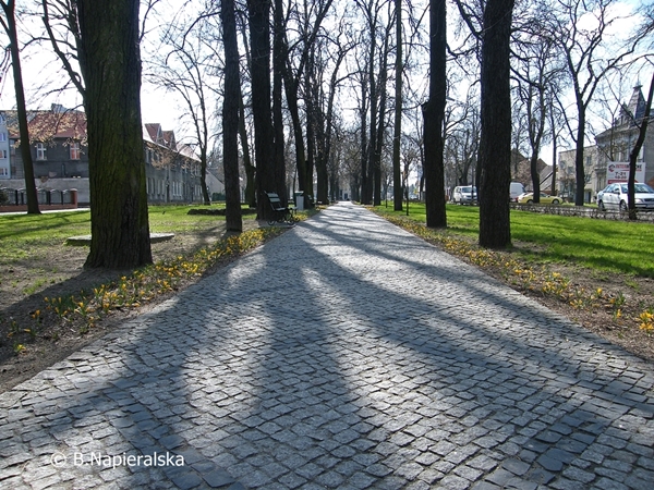 Miedzychód  wiosna